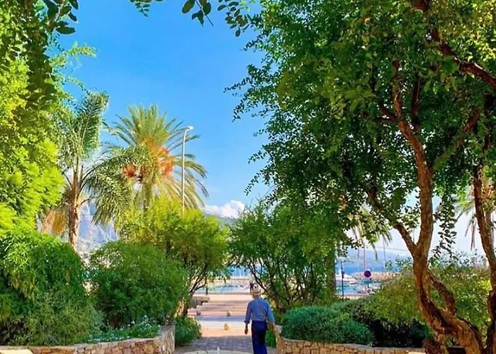 Le Vigia-vue Mer-terrasse-climatisation-parking מנטון